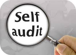 This image has an empty alt attribute; its file name is self-audit-image.jpeg