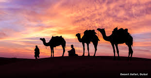 This image has an empty alt attribute; its file name is pilgrimage-by-night-image-1.jpeg